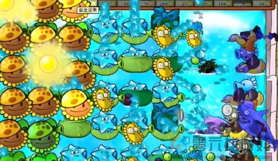植物大战僵尸杂交版冒险模式第72关通关攻略(图6) 植物大战僵尸杂交版冒险模式第72关通关攻略(图6)