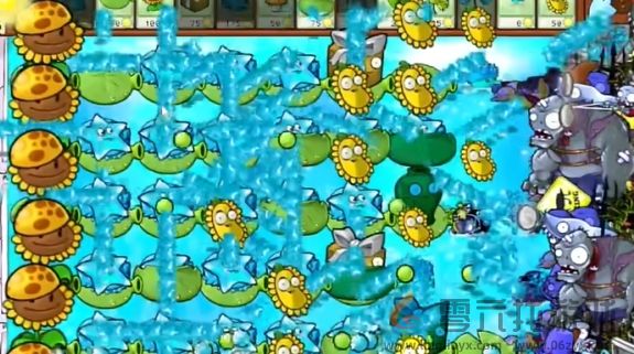 植物大战僵尸杂交版冒险模式第72关通关攻略(图7) 植物大战僵尸杂交版冒险模式第72关通关攻略(图7)